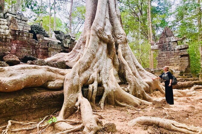 1-Day Angkor Wat Cycling Tour: Scenic Bike Adventure in Siem Reap - Should you book this 1-day Angkor cycling tour?
