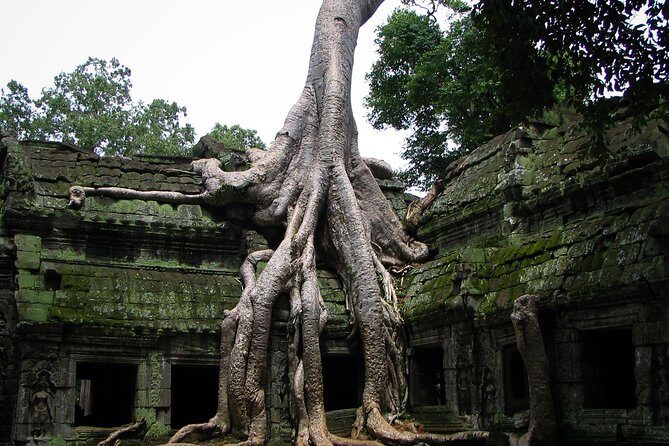 1-Day Angkor Wat Sunrise & All Interesting Temples Private Tour - Sunrise pickup at 4:45 and how this day stays manageable