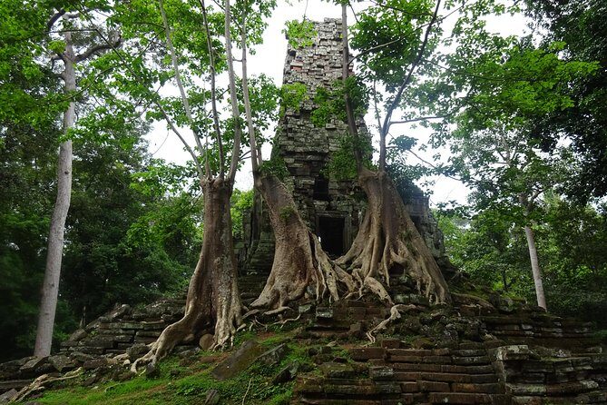 1-Day Angkor Wat Sunrise & All Interesting Temples Private Tour - Guide and driver impact: crowd timing, photos, and real comfort