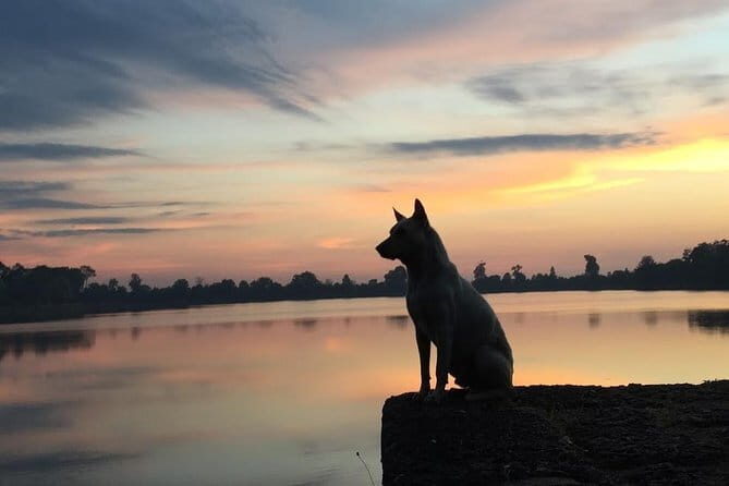 1 Day Angkor Wat with Sunrise Tour - Angkor Wat Sunrise: Pool Reflections, Towers, and Ramayana Details