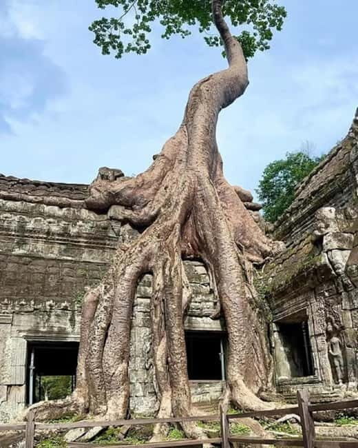 1-Day Trip to Angkor Wat with a Private or Shared Guide in Spanish - Spanish guiding in Angkor: why this tour works