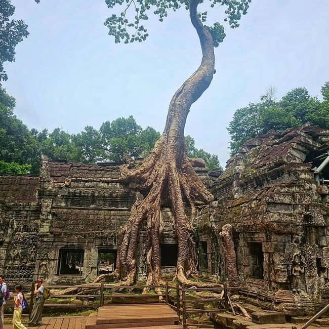 1-Day Trip to Angkor Wat with a Private or Shared Guide in Spanish - The morning plan: hotel pickup and your first temple moments
