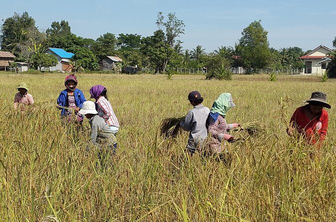 1day private tour all main temple in Angkor,sunset at TonleSap floating village - Kampong Pluk and Tonle Sap Sunset: Seeing a Different Cambodia