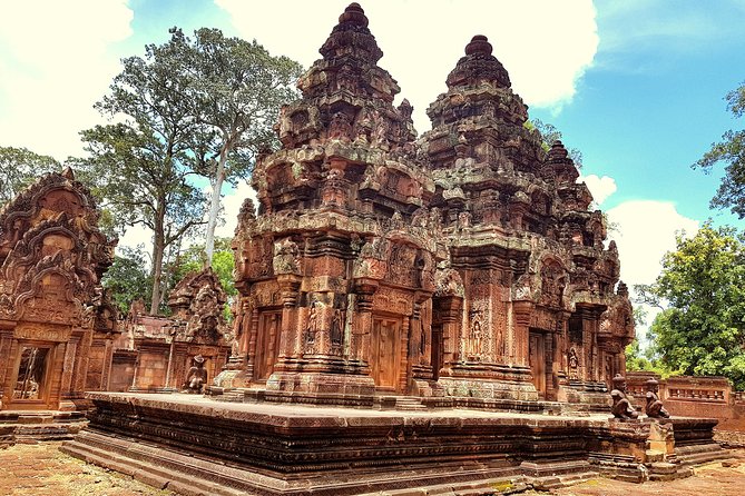 1day Private tour, Angkor sunrise,all main temples, Banteay srei - Ta Prohm’s roots: when the jungle becomes part of the story
