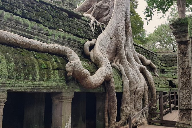 1day Private tour, Angkor sunrise,all main temples, Banteay srei - Timing, pacing, and what to pack for 8 to 9 hours