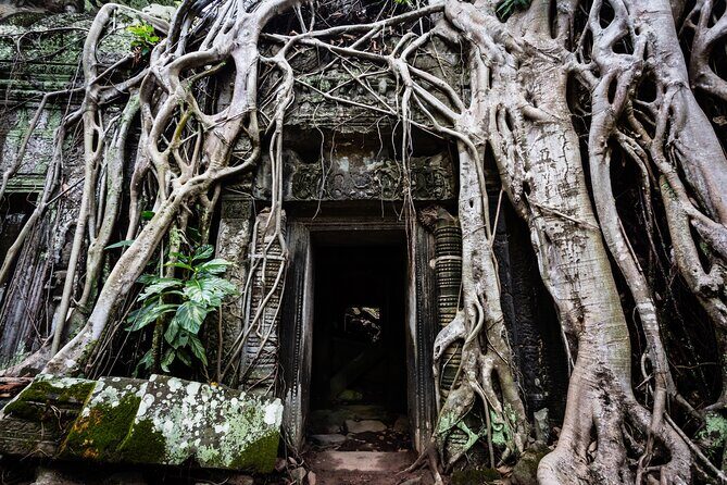 2-Day : Angkor Sunrise, Kompong Phluk Sunset & Banteay Srei Tour - Banteay Srei: the far-out temple and why the drive matters