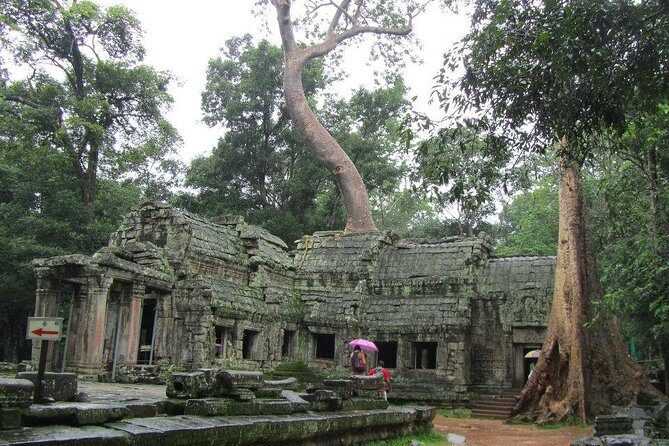 2-Day 'Angkor & Village' Tour - Day 1: Angkor Thom classics and the late-day power moves