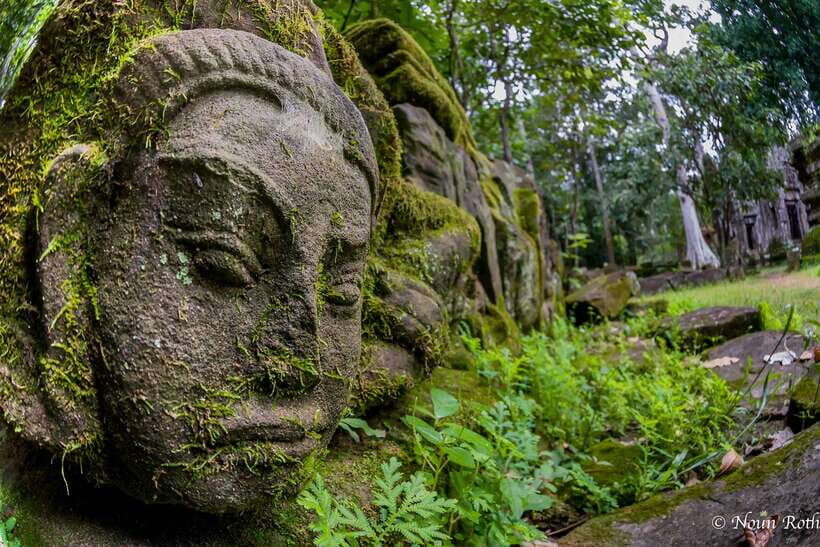 2-Day Angkor Wat With Small, Big Circuit & Banteay Srei Tour - Ta Prohm and the Tomb Raider angle: what to watch for beyond the movie