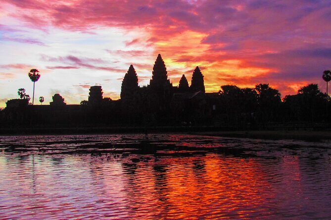 2-Day Phnom Penh to Siem Reap and Angkor Wat Temples - Skun Spider Sanctuary: the optional food stop in Spiderville