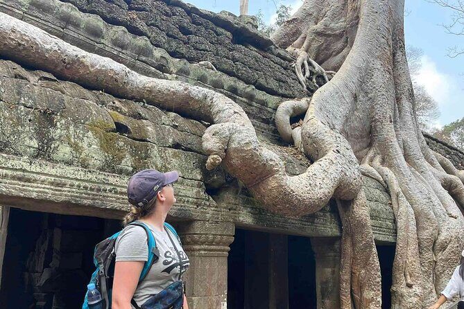 2-Day Phnom Penh to Siem Reap and Angkor Wat Temples - Ta Prohm: the jungle temple that changes the mood
