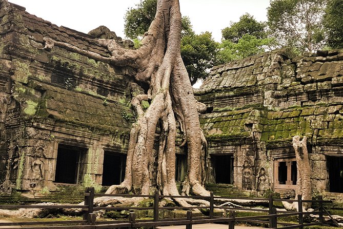 2-Days Private Tour in Angkor Sunrise, Banteay Srei and Beng Mealea Temple - Price and value: what $307.70 per group really covers