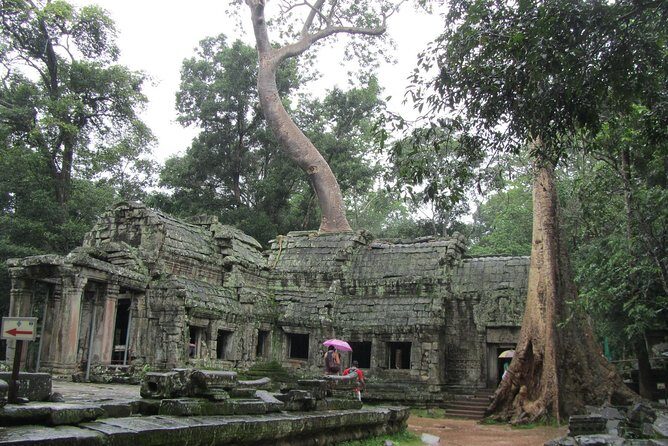 3-Day Angkor, Lake-side Village & Roluos Temples Tour - Day 1: Angkor Thom faces, Ta Prohm’s roots, Angkor Wat, then Phnom Bakheng