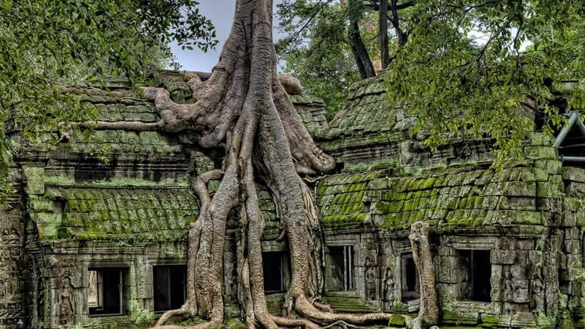 3-Day Angkor Wat & All Interesting Temples With Beng Mealea - Day 2: Sunrise at Angkor Wat, then the Big Circle to the pink Ladies Temple