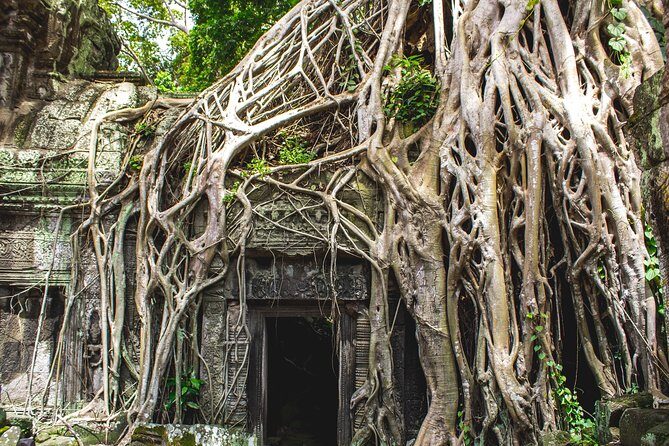 7-must See Temples in Angkor Park (Private Guided Tour) - Banteay Srei: Pink Sandstone and Carved Details