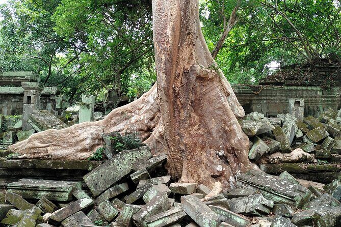 A Day Angkor Wat Sunrise Tour, Ta Prohm & Hidden Gems Beng Mealea - Beng Mealea: the jungle-temple adventure part of the day