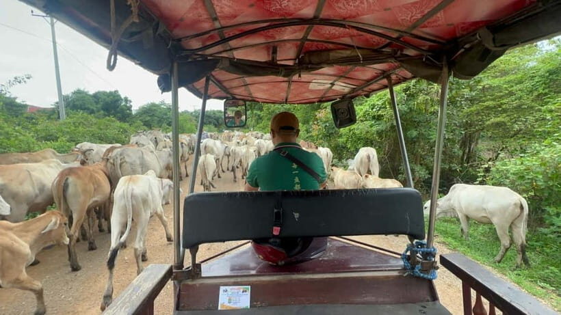 A day tour through Battambang/Local area and landmarks - Key highlights worth your attention