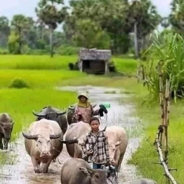 A day tour through Battambang/Local area and landmarks - Sunset at the top: monkeys, monastery, and the best photos of the day