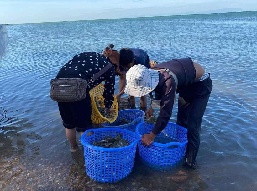 A Day Trip to Kep Beach and Kampot from Phnom Penh - Key things to know before you go