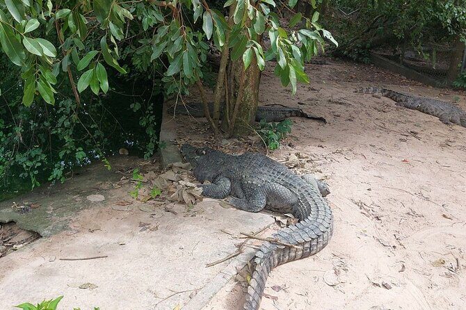A Day Trip To Phnom Chisor - Tonle Batti From Phnom Penh - Timing, comfort, and what the full day feels like