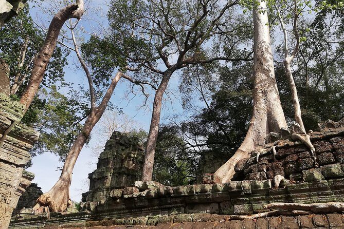 Afternoon Angkor Wat Private Tour with Sunset - Price and logistics: what $59 gets you (and what to budget)