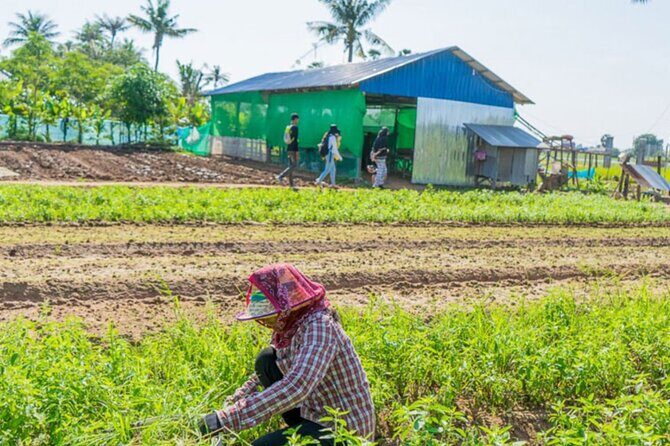 Afternoon Cooking Class & Village Tour in Siem Reap - Village Walk: Seeing Daily Life Before You Touch the Ingredients