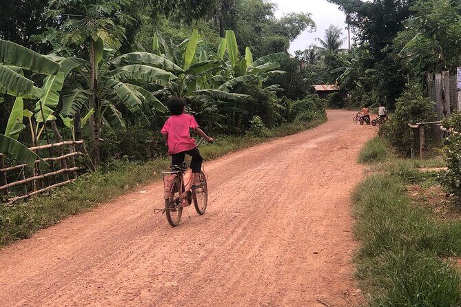 Afternoon tour by tuk tuk to bamboo train,bat cave,killing cave,countryside. - Phnom Sampeau: where the history turns heavy