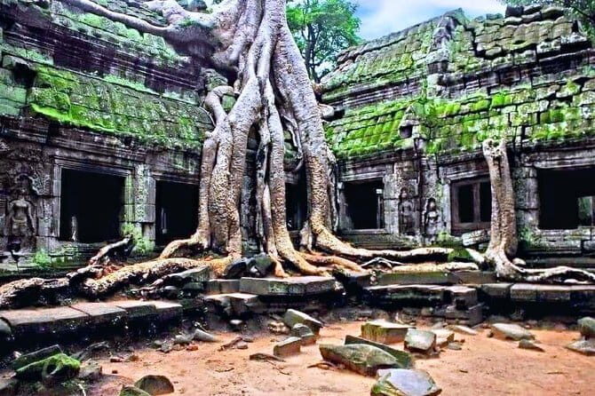 Amazing full day TUKTUK tour - The route overview: Angkor Thom to Ta Prohm, then Angkor Wat