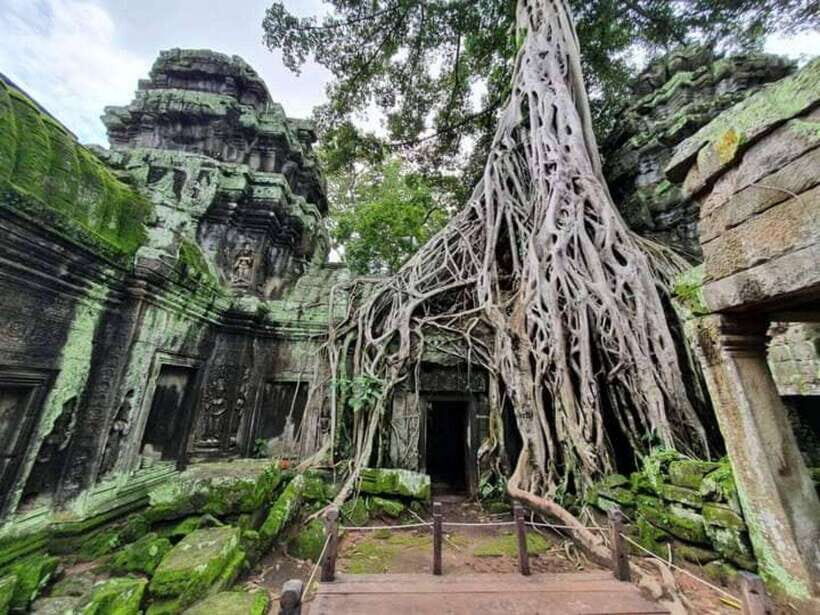 Angkor Cycling Tour - Ta Prohm, the Tomb Raider Look, and the Jungle-Ruins Blend
