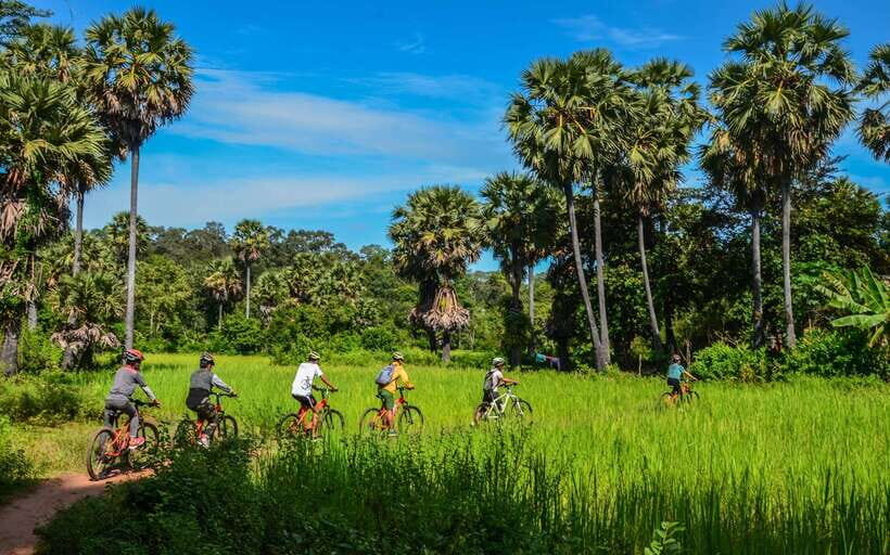 Angkor Jungle Biking Adventure Private Cycling Tour - Lunch break inside the Angkor Park zone