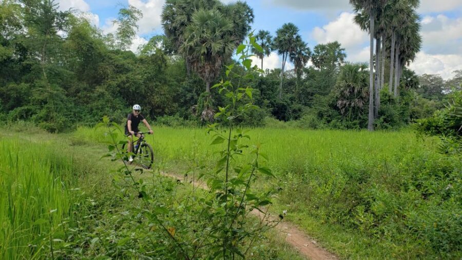 Angkor Jungle Biking Adventure Private Cycling Tour - Ta Nei: the quieter jungle stop that gives you air