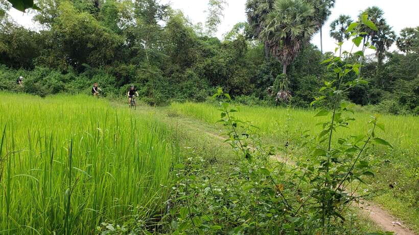 Angkor Jungle Biking Adventure Private Cycling Tour - Ta Prohm: crumbling stone, jungle sounds, and Tomb Raider vibes
