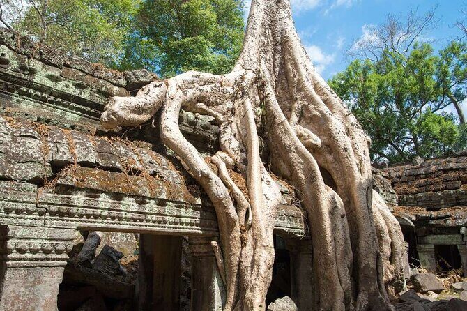 Angkor Thom Ta Prohm and Sunset in Angkor Wat Golden Hour Tour - What to expect on the ground: vehicle comfort, breaks, and heat reality
