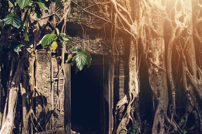 Angkor Thom Ta Prohm and Sunset in Angkor Wat Golden Hour Tour - Angkor Thom: South Gate, Bayon towers, and the Elephant Terrace