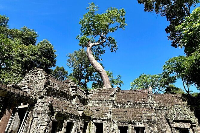 Angkor Wat 1-Day Tour by Private Car or Minivan - Beyond the temple walls: village snacks and local culture stops