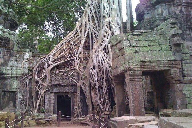 Angkor Wat 2-Day Tour - Terrace of Elephants and Terrace of the Leper King: Royal Palace Power