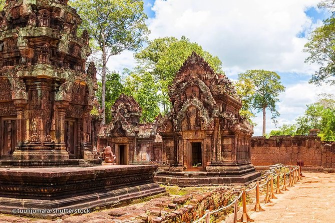 Angkor Wat Admission Ticket - Ta Prohm and the Bayon: the temples that reward your slow walking