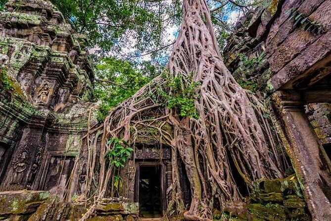 Angkor wat and Small group temples Full day tours - The guide factor: why having a licensed English pro matters