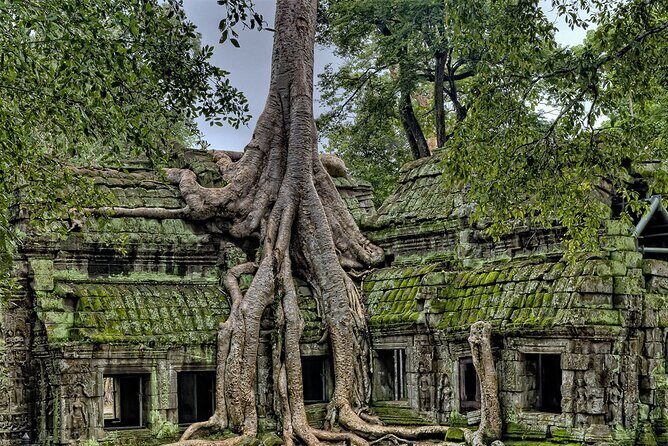 Angkor Wat, Angkor Thom & Elephant Terrace Half-Day Tours - Entering Angkor from Siem Reap without wasting daylight