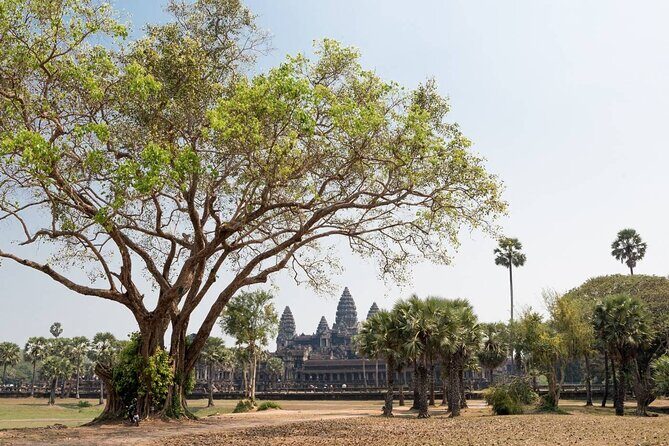 Angkor Wat, Angkor Thom & Elephant Terrace Half-Day Tours - Terrace of the Elephants: the one you shouldn’t skip