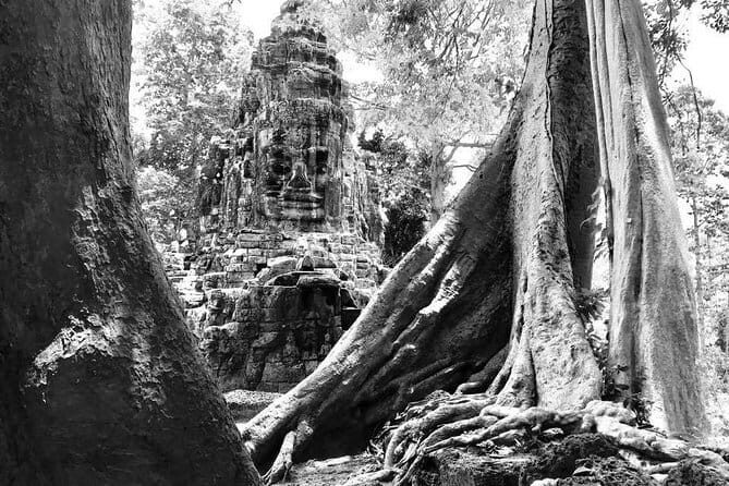Angkor Wat & Banteay Srei 1-Day Tour - 5:00 a.m. Sunrise: Beating the Angkor Wat crowd wave