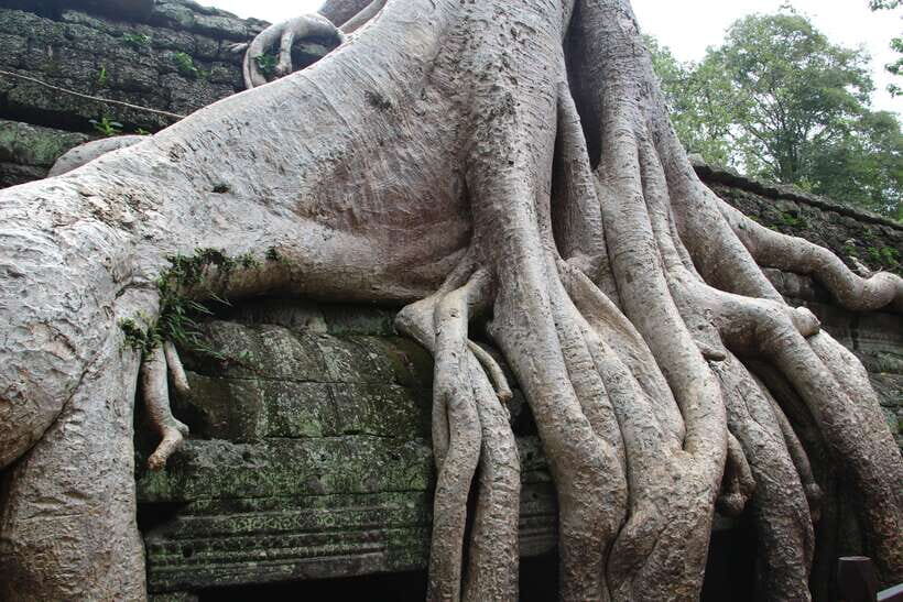 Angkor Wat Full-Day Private Tour with Sunset - What it’s like with a great guide and driver