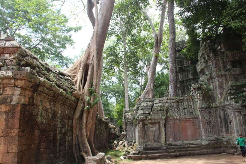 Angkor Wat Full-Day Private Tour with Sunset - Who this private Angkor Wat and sunset tour suits best
