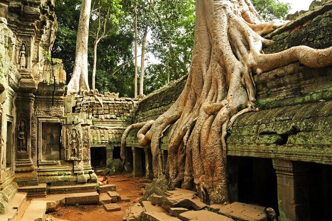 Angkor Wat full Day 'Small Group with sunset & Tour Guide - Ta Keo and Angkor Thom: two temples that change the atmosphere