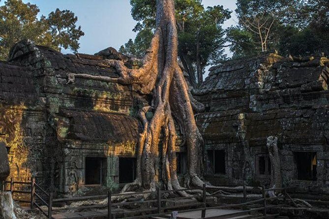 Angkor Wat highlight Tour From Sunrise -Small Group - Angkor Thom South Gate: 54 figures worth paying attention to