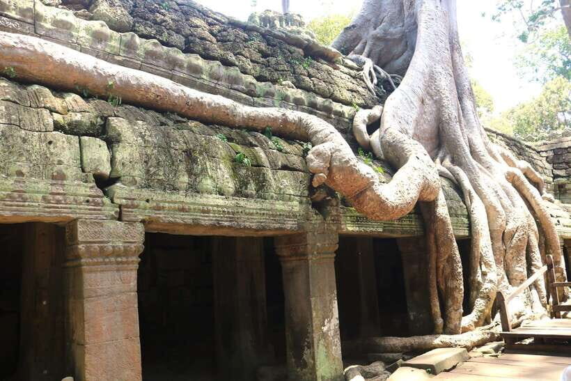 Angkor Wat: Highlights and Sunrise Guided Tour - Price and value: $19 tour plus the real cost of the Angkor Pass