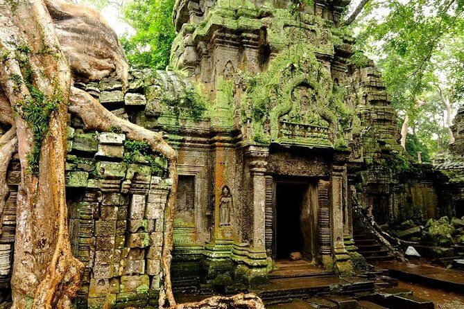 Angkor Wat Private Tour with English Speaking Driver, NO guide - Stop 4: Ta Prohm—Tree Roots, Strange Atmosphere, Short Time