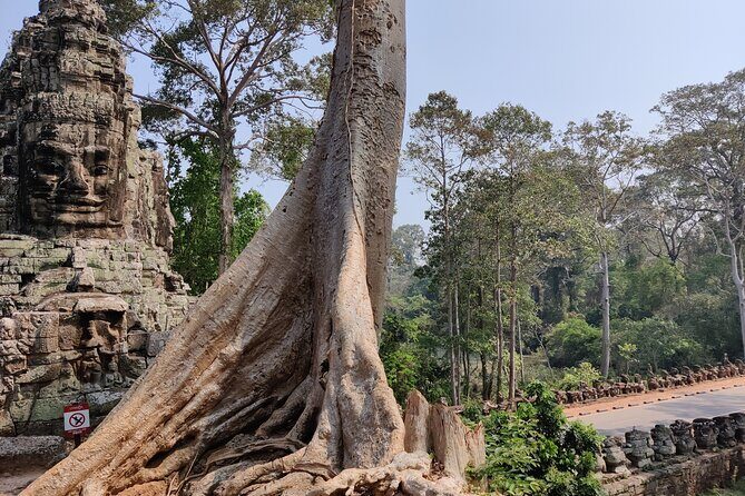 Angkor Wat Private Tuk-Tuk Tour (sunrise Option) & more - Bayon Temple: bas-reliefs and a more “human” feel