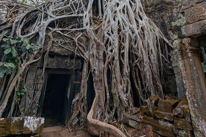Angkor Wat Private Tuk-Tuk Tour (sunrise Option) & more - Driver support: beyond transport, with names and real practical help