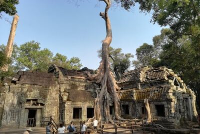 Angkor Wat Small Circuit Tour - Price and value: $47.44 tour fee plus the $37 Angkor Pass