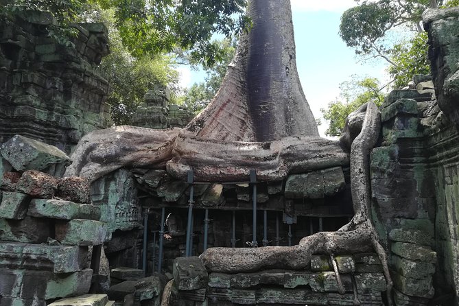 Angkor Wat Small Circuit Tour - Stop 3: Ta Prohm—your Tomb Raider temple hour